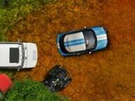 Rally Kings